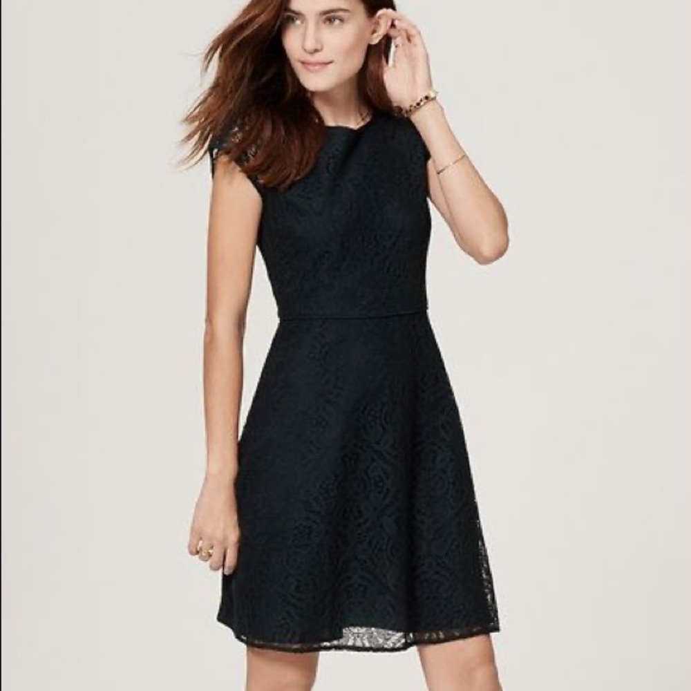 Loft Lace A-Line Dress